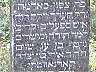 VILK050.jpg